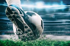 7 continent FA organizasyon